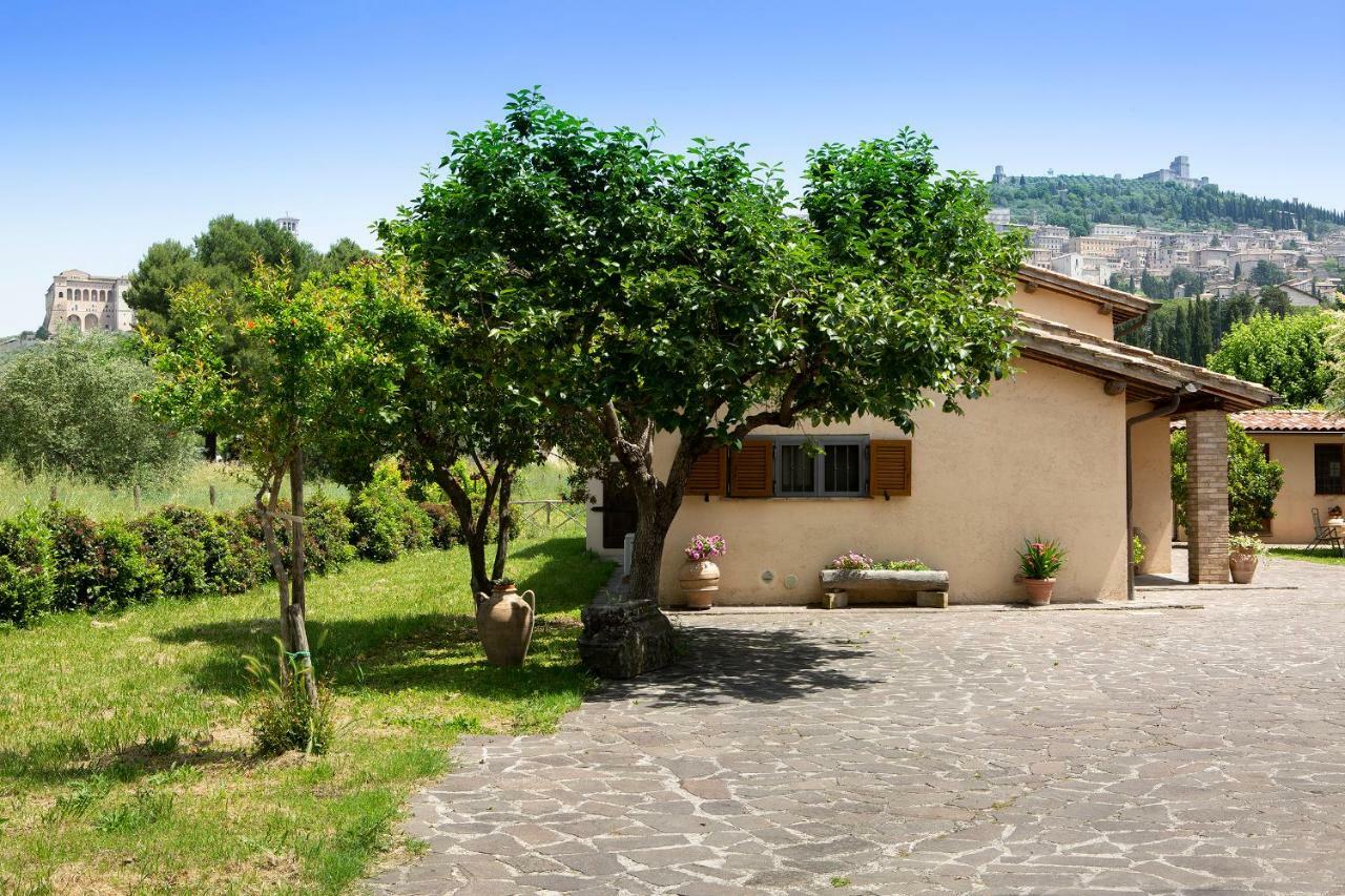 All'Antica Mattonata Guest House Assisi Exterior photo